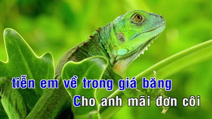 999 Đóa Hồng - Anh Tú