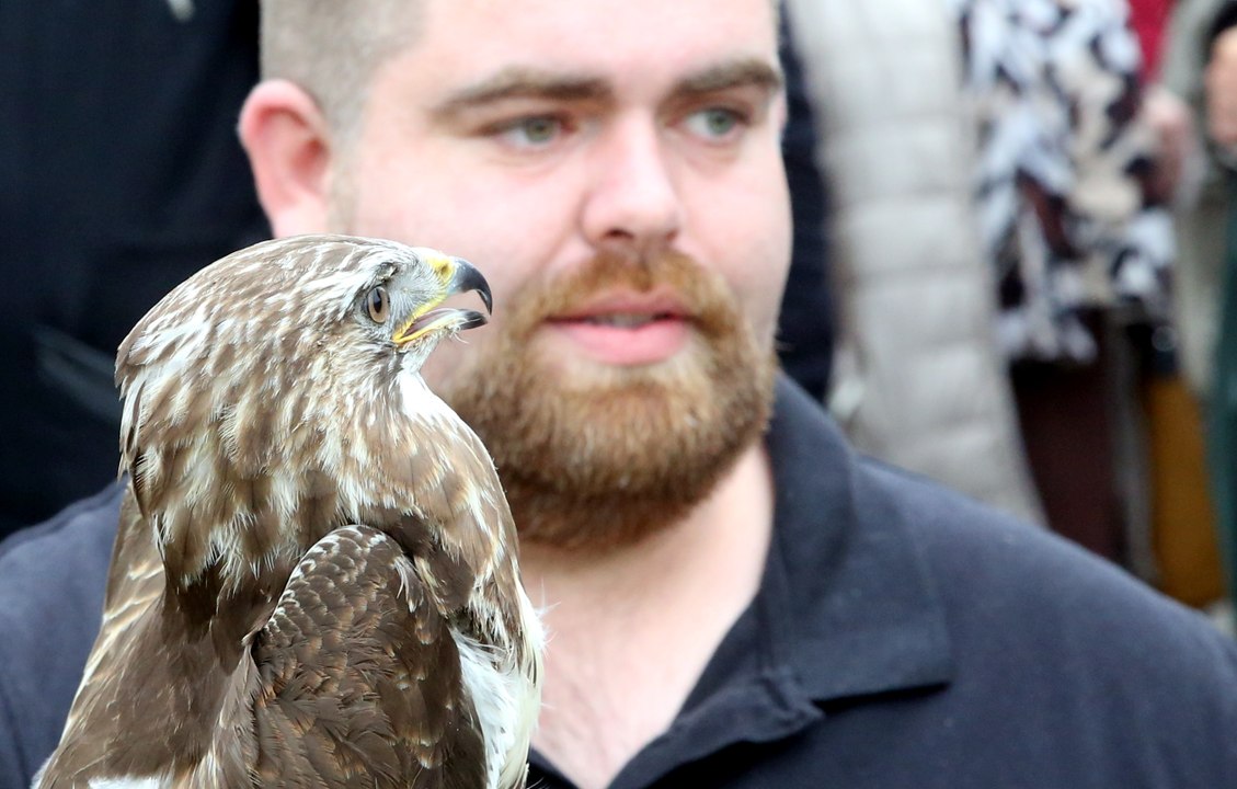 Le centre de sauvegarde de la faune Lorraine de Valleroy protège la biodiversité