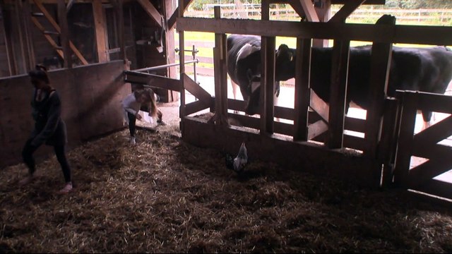 Een nieuwe Bas in Utopia?