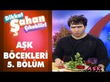 Aşk Böcekleri  5. Bölüm | Dikkat Şahan Çıkabilir