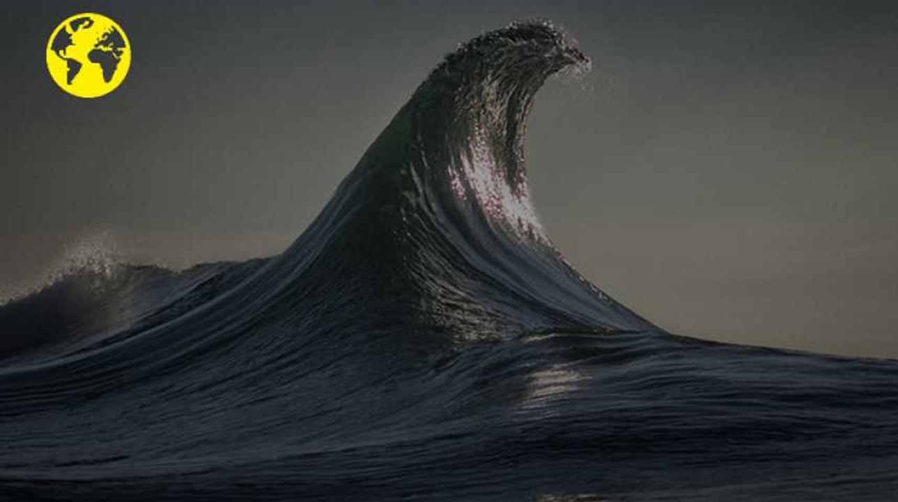 Le printemps en timelapse et des vagues en musique : les vidéos de la semaine