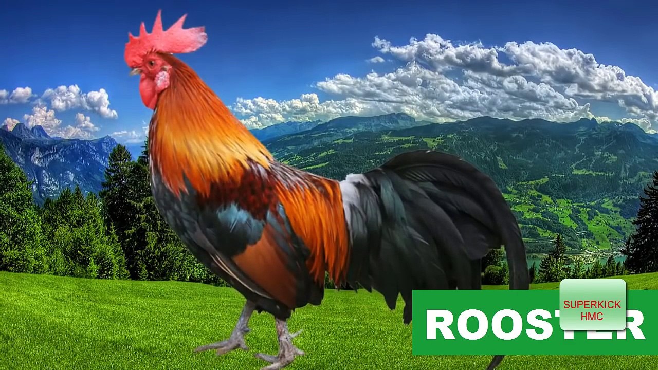 Learn Farm Animals Names and Sounds With Cartoon for kids - Farm Animals for Children #3