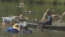 The Walking Dead Season 9 (AMC) Episode 10 ~ full episode