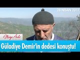 Güladiye Demir'in dedesi konuştu! Müge Anlı ile Tatlı Sert 28 Nisan 2017 - atv