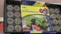 Starting Tomatoes Indoors - A Complete Guide - Sowing Seeds to Transplanting