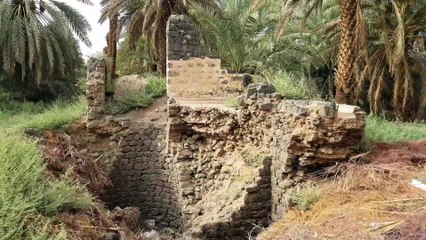 بقايا أطم وبير الهجيم بالعصبة في المدينة المنورة مع د. بشار تقي الدين الحسيني