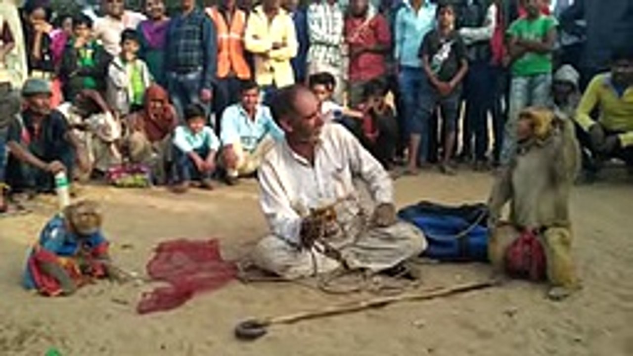 Indian Street Circus Amazing Talent Perfect and Clean Roadside Magic Show