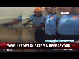 Yavru kediyi kurtarma operasyonu! - 13 temmuz 2017