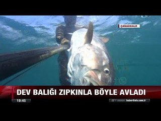 Dev Balığı Zıpkınla Avladı - 3 Ağustos 2017