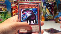 Pokemon TRADE/sale video! |   1st edition holos!