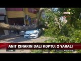 Anıt Çınarın Dalı Koptu: 2 Yaralı - 9 Ağustos 2017