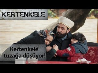 Kertenkele tuzağa düşüyor!