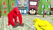 Gorilla dinosaurs Colors Finger family 3D Animation - Frozen Finger family Rhymes songs For Kids