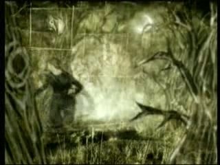 Dark tranquilty monochromatic stains