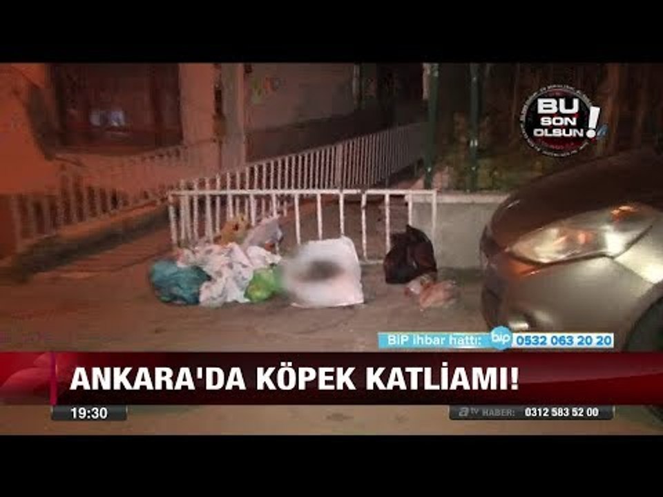 Vicdansızlar! Öldürüp, çöpe attılar - 5 Ekim 2017