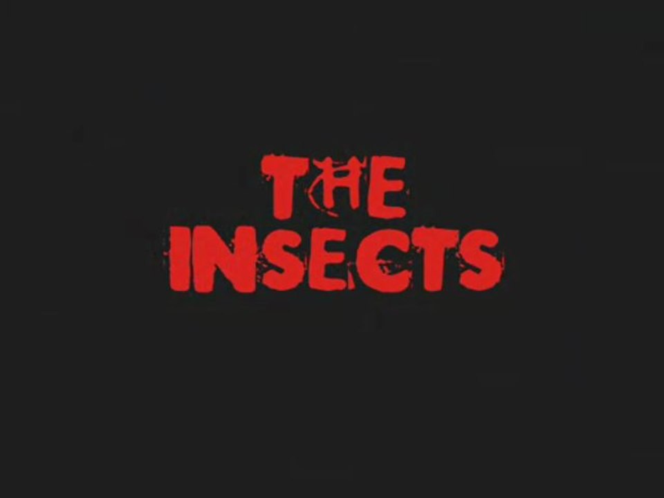 Insects AMV