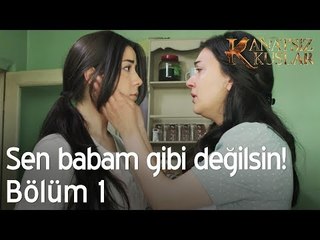 Sen babam gibi değilsin! - Kanatsız Kuşlar 1. Bölüm