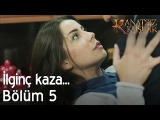 İlginç kaza!  - Kanatsız Kuşlar 5. Bölüm
