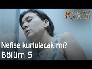 Nefise kurtulacak mı?  - Kanatsız Kuşlar 5. Bölüm