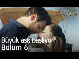 Büyük aşk başlıyor!  - Kanatsız Kuşlar 6. Bölüm