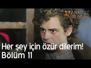 Her şey için özür dilerim!  - Kanatsız Kuşlar 11. Bölüm