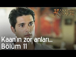 Kaan'ın zor anları! - Kanatsız Kuşlar 11. Bölüm