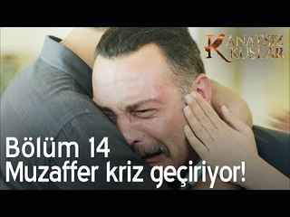 Muzaffer kriz geçiriyor! - Kanatsız Kuşlar 14. Bölüm
