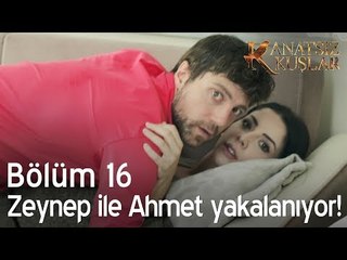 Zeynep ile Ahmet yakalanıyor - Kanatsız Kuşlar 16. Bölüm