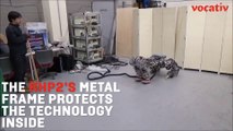 Meet RHP2: The Humanoid Robot Built To Take A Beating