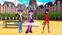 Miraculous Ladybug and My Little Pony Equestria Girls Together?