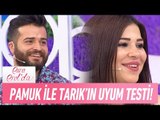 Pamuk ile Tarık'ın Uyum Testi - Esra Erol'da 22 Haziran 2017