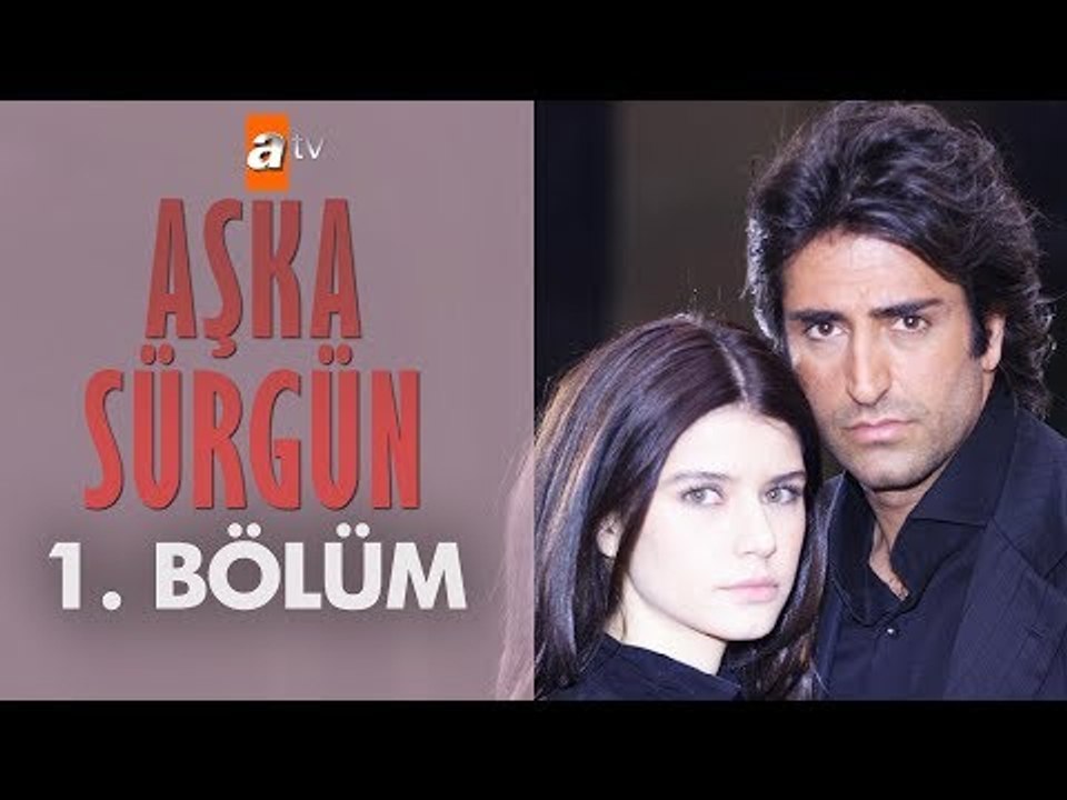 Voyaga etgan ayolning gozal mushuki