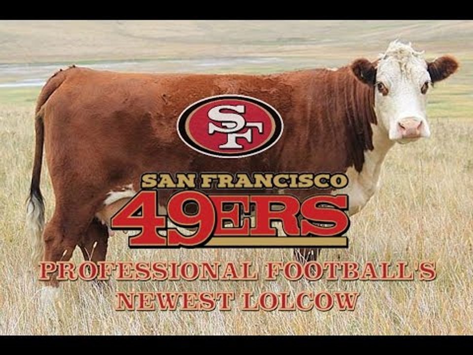 The San Francisco 49ers - Professional Football...