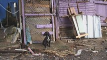 10 muertos y 25 desaparecidos tras paso de tormenta Nate por Costa Rica