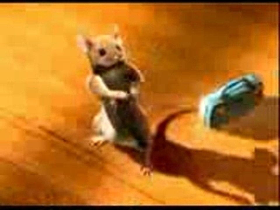 Alemci kedi danzöz