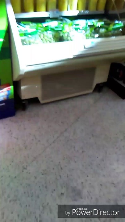 Video log 10/05/2017 grocery trip