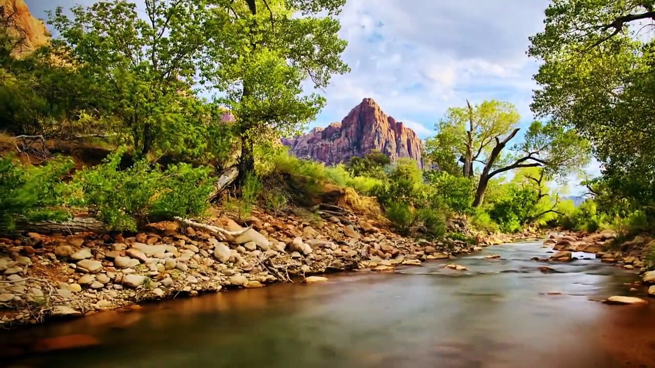 Dont-Judge-others-Follow-Mufti-Menk