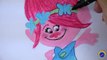 TROLLS POPPY Learning Painting Coloring Drawing Elsa Hair Styling Head Pink Makeover DreamWorks