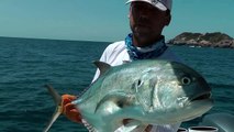Popper fishing in Panama with Tropical Sportfishing Panama