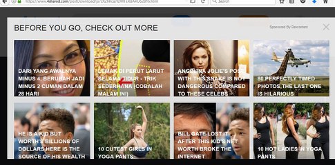 download IDM terbaru 6 28 build 16 full
