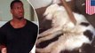 Kucing disiksa disiarkan di Facebook Live, tersangka segera ditangkap - Tomonews