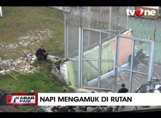 Ratusan Narapidana Mengamuk di Rutan Pekanbaru