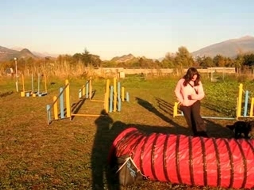 MVI_9079