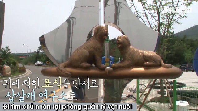 Lạc chủ suốt 7 tháng, chú chó lú lẫn bật khóc khi nhận ra chủ nhân