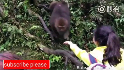 Funny videos don't miss it