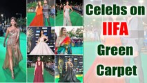 IIFA 2017: Bollywood Celebs in Glamorous Avtar at Green Carpet; Watch here | FilmiBeat