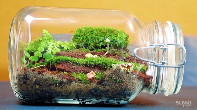 ВЕЧНЫЙ ТЕРРАРИУМ - [190 дней спустя]