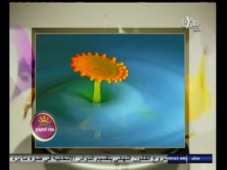 #هذا_الصباح | فقرة السوشيال ميديا | 15 اكتوبر 2014