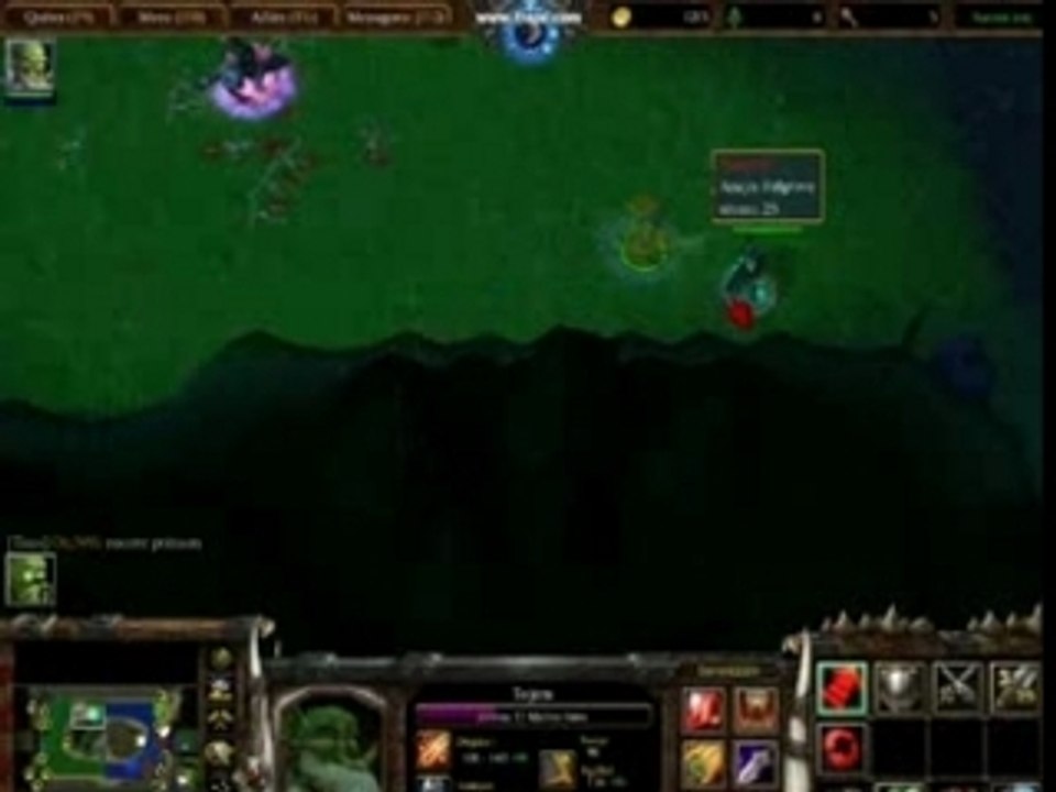 Warcraft III 3