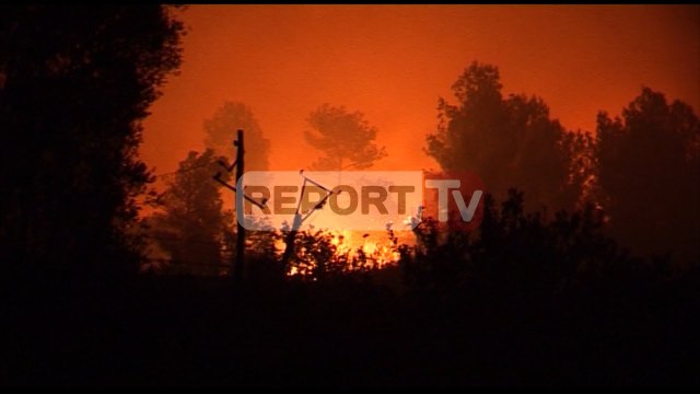 Report TV - Lezhë, përfshihet nga flakët mali i Manatisë, në rrezik disa banesa